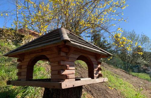 Ferienwohnungen Willrich - Foto 7