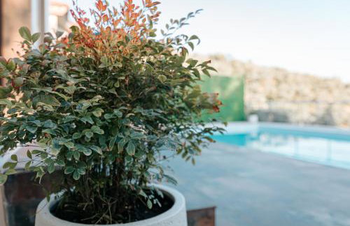 PELIONBLUE VILLAs - Foto 57