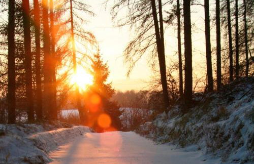 Ferienhaus Krakower See - Foto 12