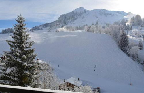 Studio ensoleillé au cœur de la station, proche pistes - FR-1-241-116 - Foto 15
