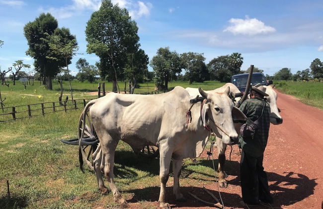 Madam Sokha Homesteading - Foto 66