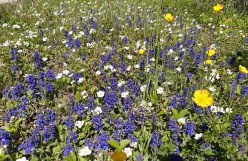 Apartment zum Spaal by Interhome - Foto 35