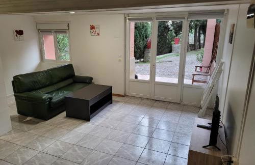 DOMAINE DE POULHARIES -Cinsault - Foto 2