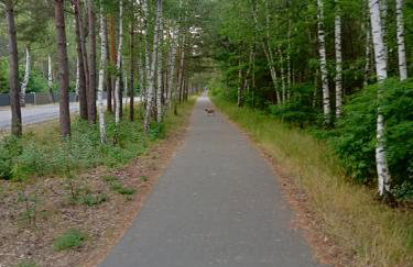 Ferienzimmer Waldzauber - Foto 36