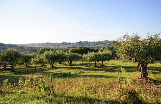 Cottage in Montefiore Near Forest and Beach - Photo 39