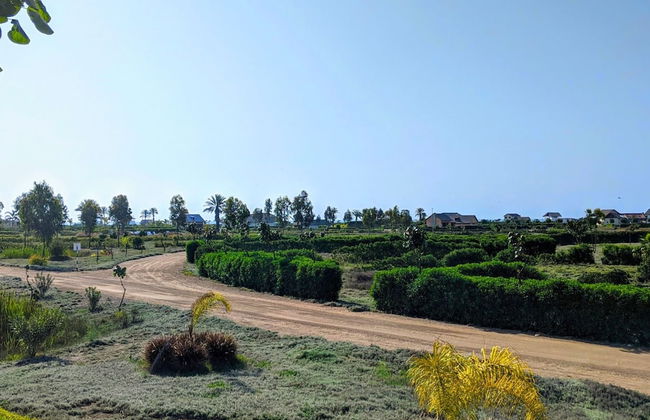 HOP Mykonos en Playa y Naturaleza de Chincha - Foto 44