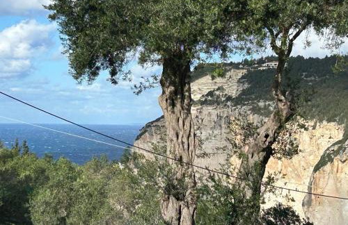 Loukas house Paxos - Foto 2