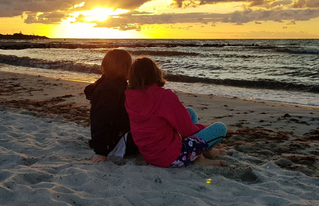 Meislahnhof Fehmarn - Foto 32