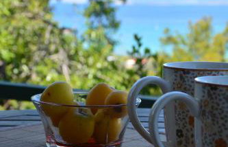 Jimi's House - Foto 23