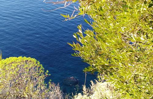 Villa Eleonora - Photo 52