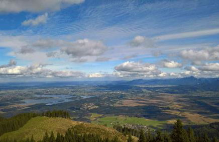 SEINZ Tiny House Natururlaub - Foto 24