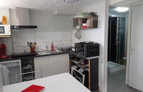 appartement rez de chausse - Photo 5