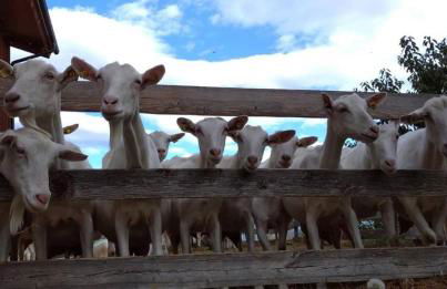 Agriturismo Les Ecureuils - Foto 13