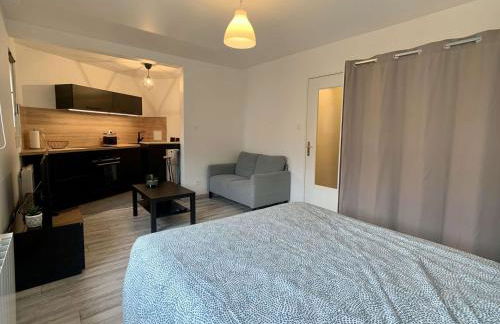 Charmant studio centre ville de Mutzig - Foto 6