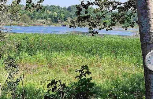 White Birch - Riverfront and Newly-Remodeled! - Foto 11