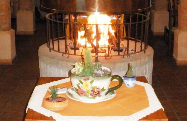 Agriturismo L' Ulivo - Foto 22