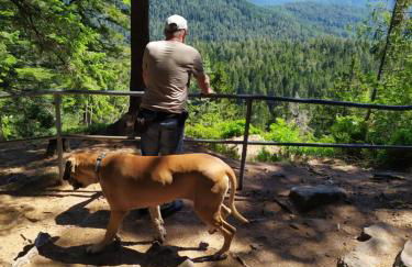 Ferienwohnung GABI - Foto 51