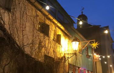 Neue Unterkunft mit Kamin im Erzgebirge - SZB - Foto 8