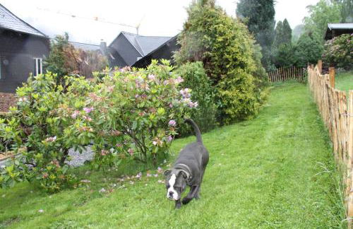 Ferienhaus Winterberg für 12 Personen Sauna Garten Garage Hund - Photo 23