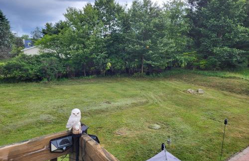 Cozy House in Long Pond 3 bedrooms 10 people - Foto 60