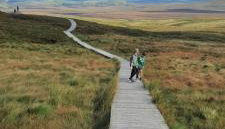 Holllie View - Foto 3