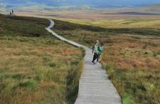 Holllie View - Foto 3