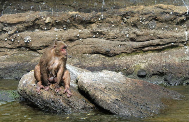 Los Tuxtlas and Catemaco Trip - Foto 8