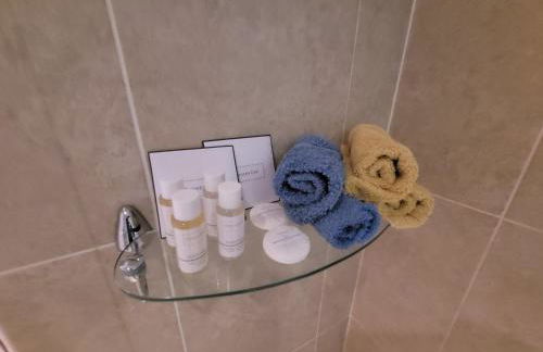 Llys Bach Apartment at Llys Aeron - Foto 20