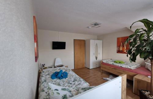 Zimmervermietungen Jachna - Foto 10