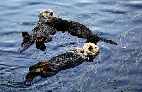 3 Mi to Golf and Wineries Arroyo Grande Home! - Foto 43