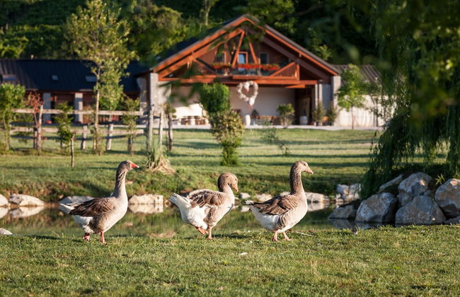 Agriturismo I Comelli - Foto 69