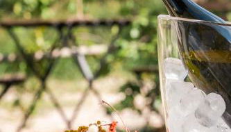 Le Vigne del Gallo - Foto 3