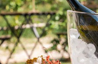 Le Vigne del Gallo - Foto 3