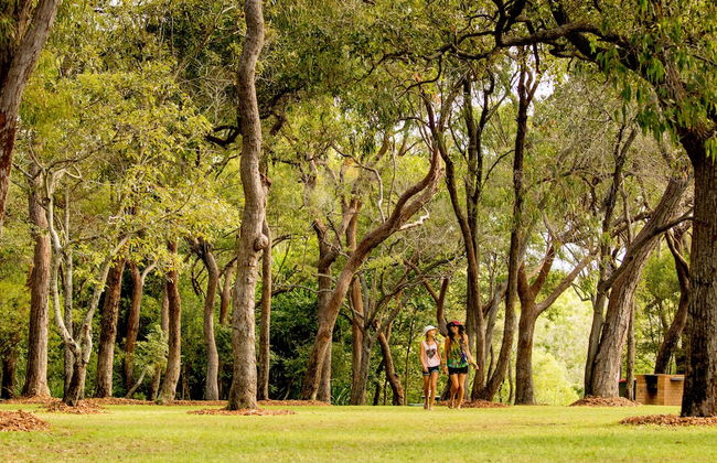 Discovery Parks - Tannum Sands - Photo 56