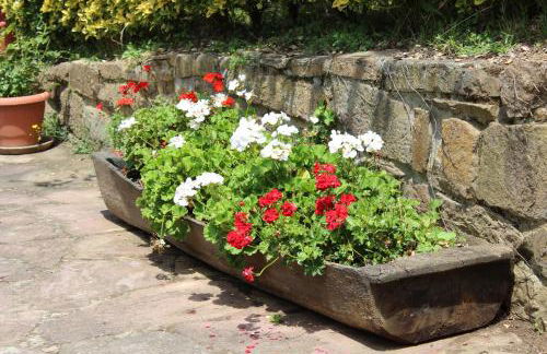 APARTAMENTOS LA COTERA - BARRIO DE ARRIBA segunda entrada 2 - Foto 66