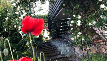 Ferienoase am Schwürbitzer Dom - Foto 5, Garden