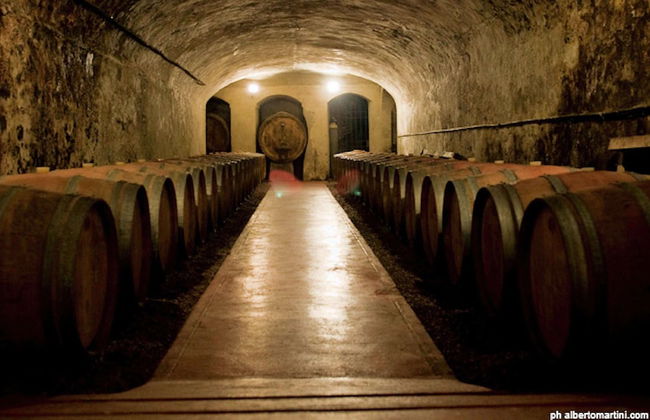 Apartment Near Pisa With Pool and Garden - Foto 19