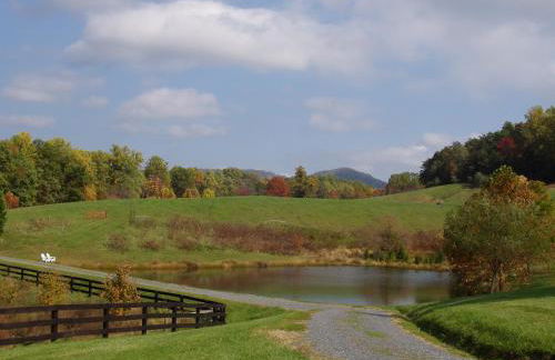 Fairhill Farm Country Vacation Rentals - Foto 12
