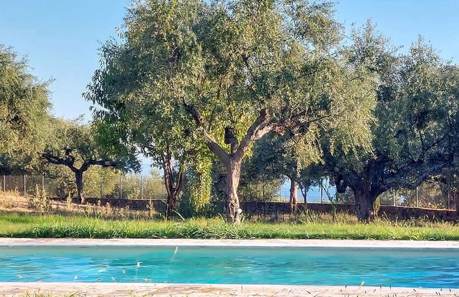 Villa Eleni - Garden Pool Retreat Near Kardamili - Foto 41