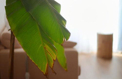 La Casa Jungle - Spa - Lyon Centre, Pentes de la Croix Rousse - Foto 24