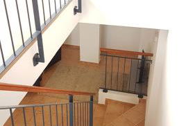 The White House - Foto 9