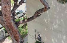 Marina's Calm - Foto 19