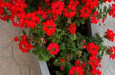 Sobe Kraft 2 - Photo 16