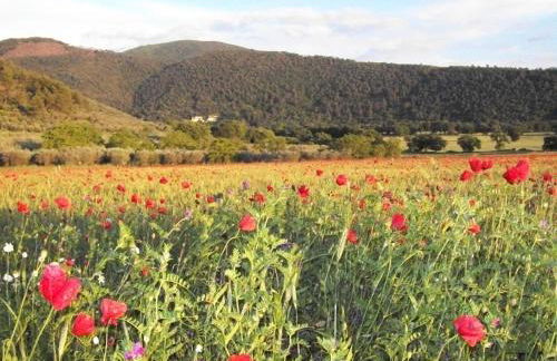 Agriturismo Il Casalino - Photo 21