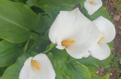 Rifugio al mare - Foto 34