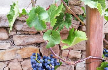 Ferienhaus Görmer mit Wasserbett - Foto 28