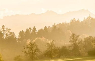 Ferienwohnung "Hinterland" - Foto 12