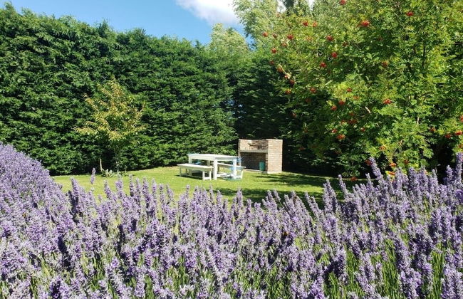 Cabañas la Chacra - Foto 47