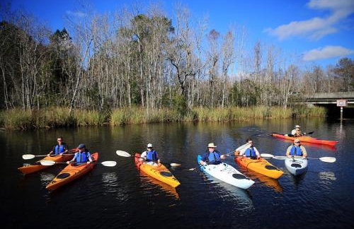Amelia Island Oceanfront Condo - Foto 37
