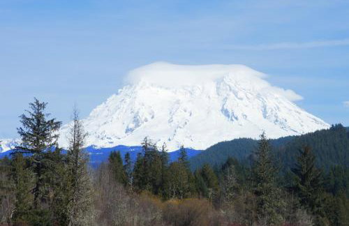 Enchanting Private Forest Retreat near Mt Rainier - Foto 60